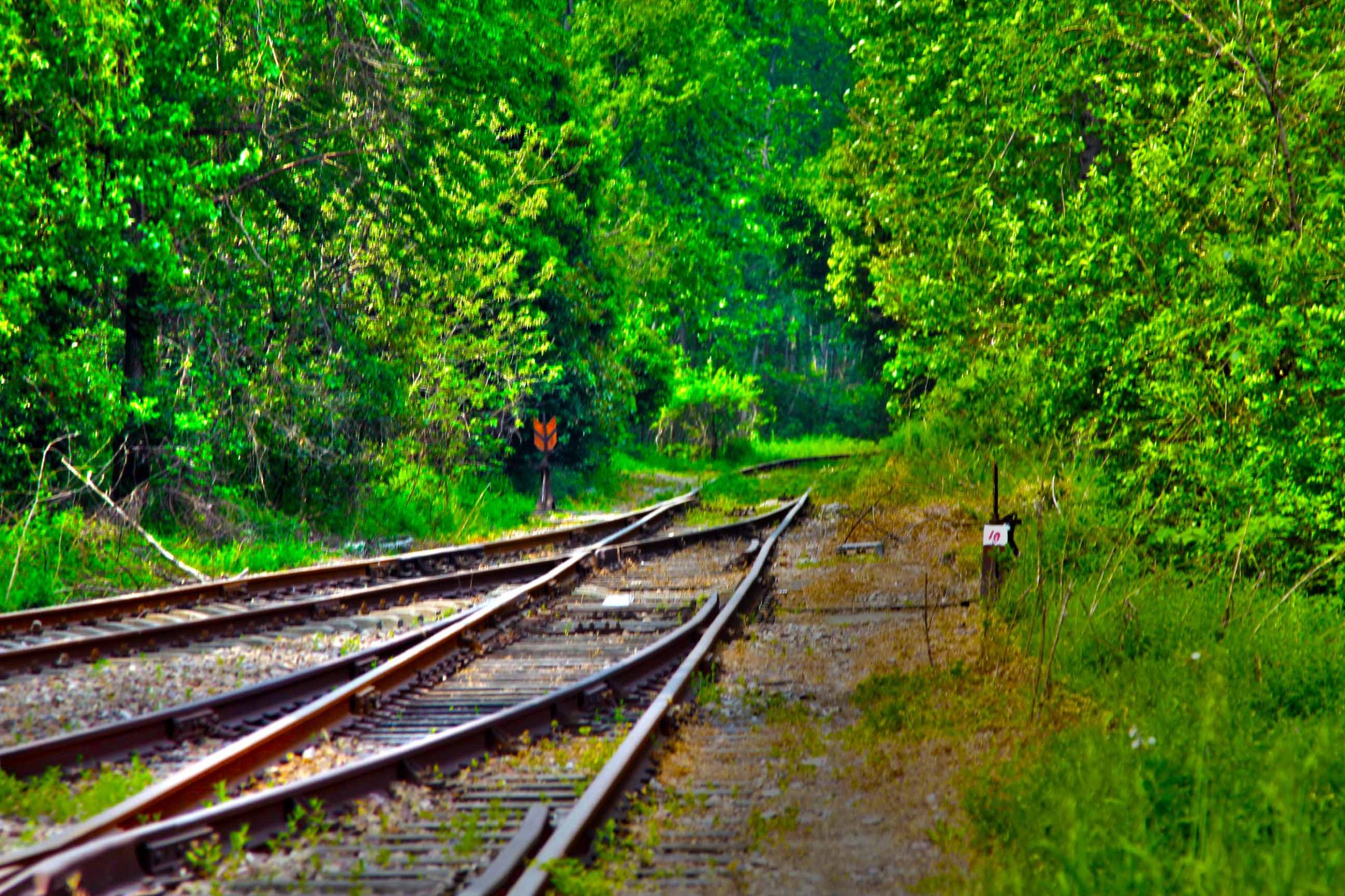我省今年年內(nèi)有4條鐵路線投入運(yùn)營(yíng)更多出行選擇！