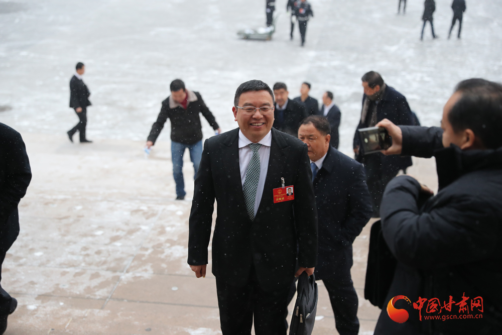 【聚焦2020甘肅兩會(huì)】“兩會(huì)”代表、委員風(fēng)采掠影（組圖）