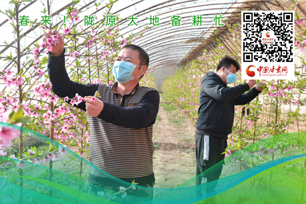 海報丨春來！隴原大地春耕忙