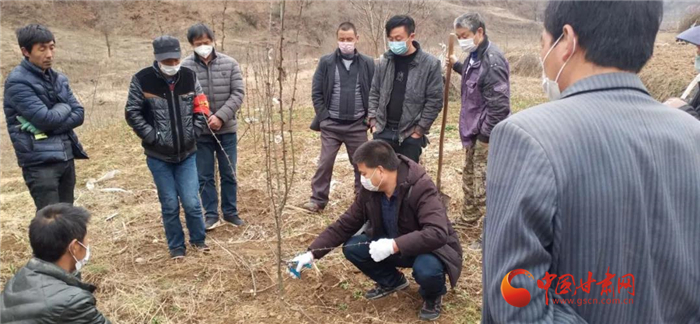 【甘肅全民戰(zhàn)“疫”】隴南徽縣：花椒田里培訓(xùn)忙，戰(zhàn)疫春耕兩不誤