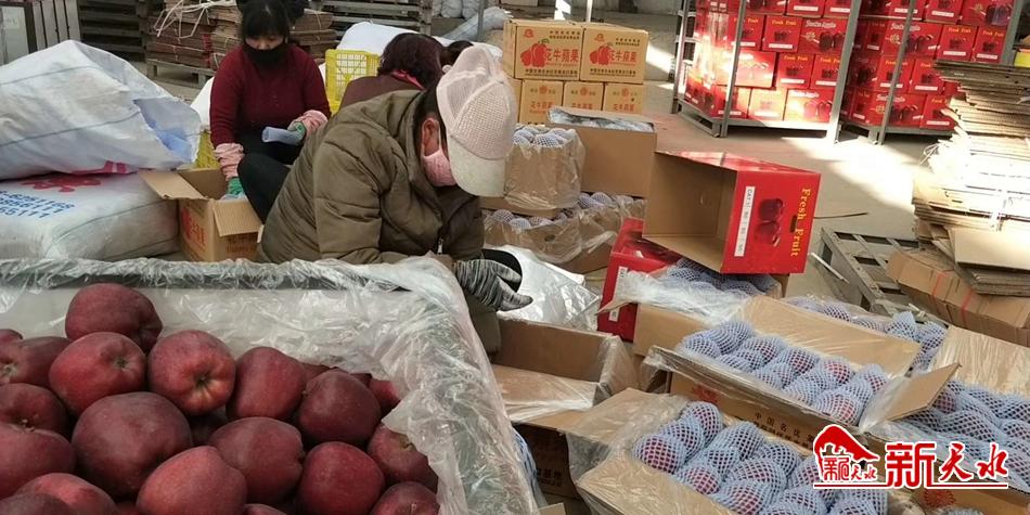 天水“花牛”最近有點(diǎn)“?！?>
        </a><em>天水“花?！弊罱悬c(diǎn)“?！?/em></li>
    <li><a  target=