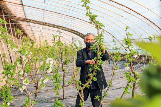 銅城復蘇：春光明媚，邀你共賞芳華（組圖）