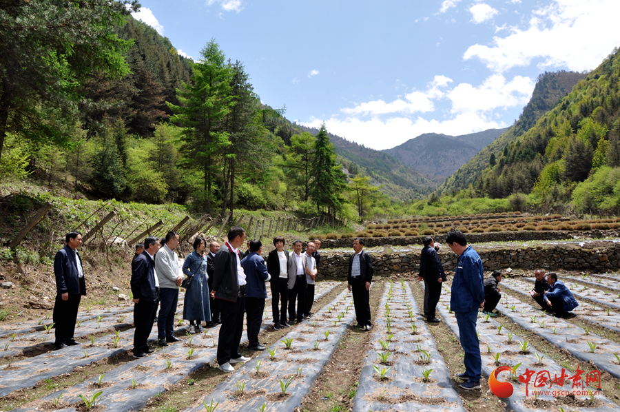 白龍江博峪河保護局開展產(chǎn)業(yè)發(fā)展、義務勞動成果現(xiàn)場觀摩交流活動