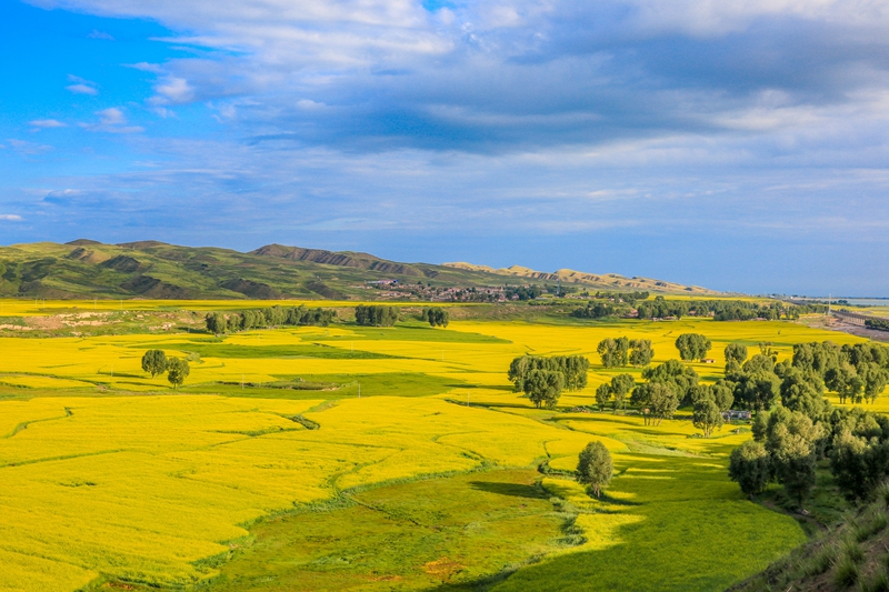創(chuàng)意海報丨甘肅的美，你來了才知道