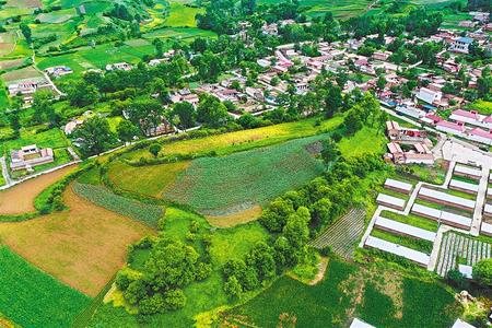 【溫暖的回響 滄桑巨變 飲水思源】這條路，通往幸福