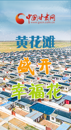 【跟著總書記看甘肅】長圖|武威黃花灘盛開幸?；?