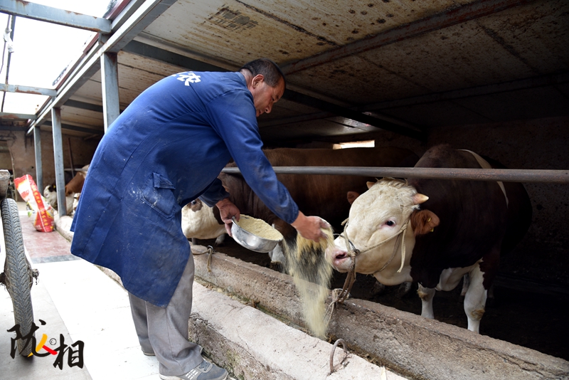 【隴人相】脫貧路上的實(shí)干家——“?！比笋R占清