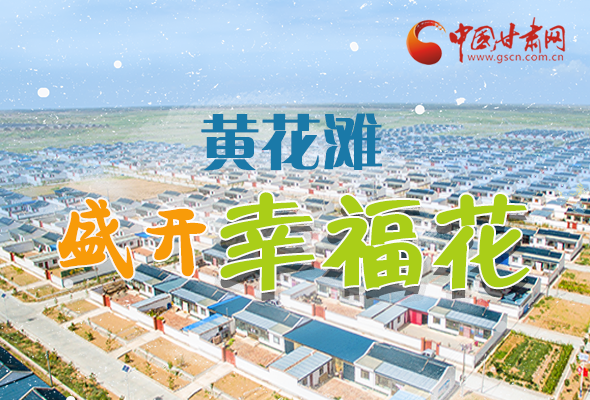 【跟著總書記看甘肅】長圖|武威黃花灘盛開幸?；?