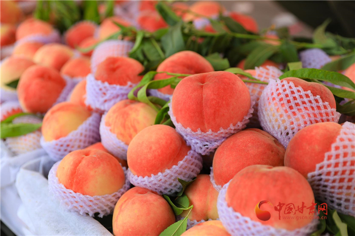 從“桃花源”到“蟠桃會”天水秦安10萬畝蜜桃將延伸產業(yè)鏈