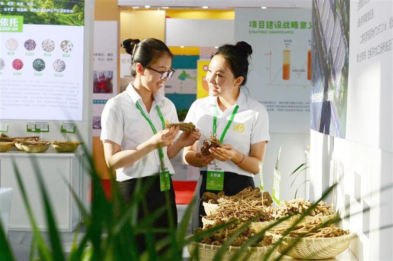 定西，從“千年藥鄉(xiāng)”邁向“中國藥都”