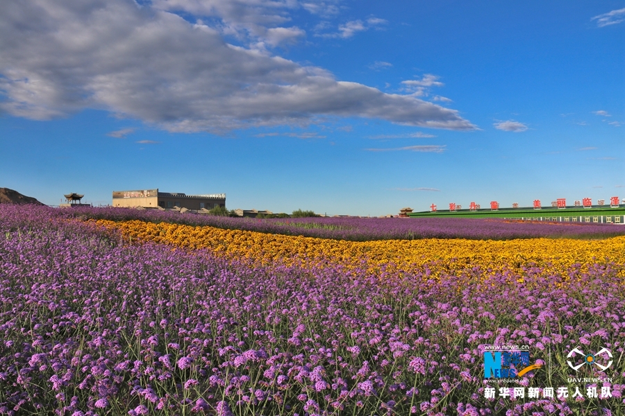 【“飛閱”中國】鳳凰花?！罢钩帷钡は伎?>
        </a><em>【“飛閱”中國】鳳凰花?！罢钩帷钡は伎?/em></li>
    <li><a  target=