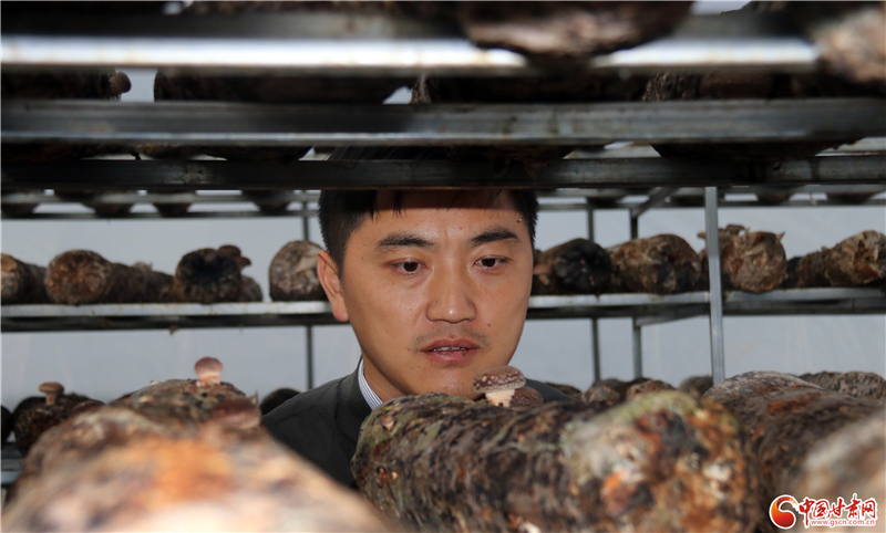 110年！何家溝村終于有了集體經(jīng)濟——中建二局黨建結對幫扶成效顯著