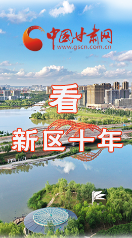 圖解|崛起！新區(qū)十年