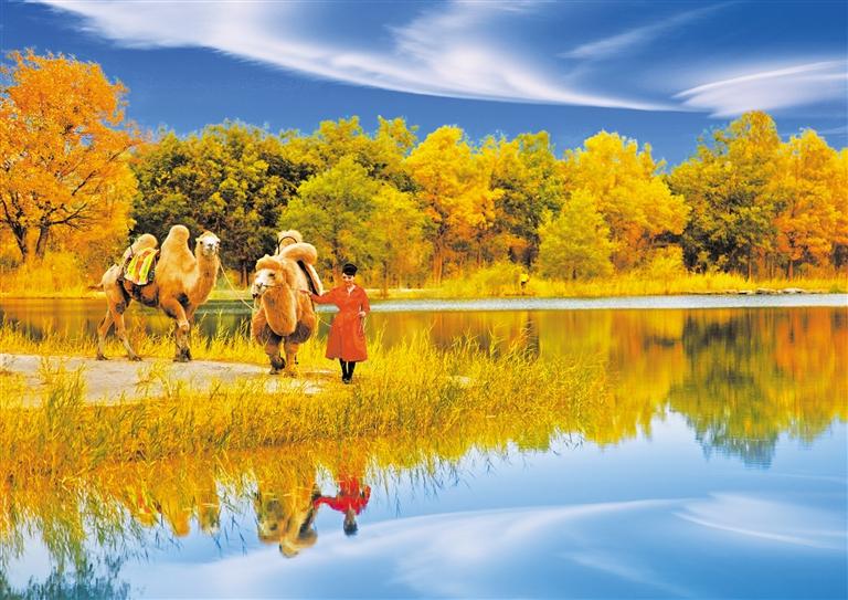 國(guó)慶長(zhǎng)假，去金塔遇見最美胡楊