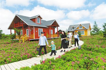 慶陽寧縣堅(jiān)持因地制宜興產(chǎn)業(yè)使得群眾脫貧奔小康的底氣更足