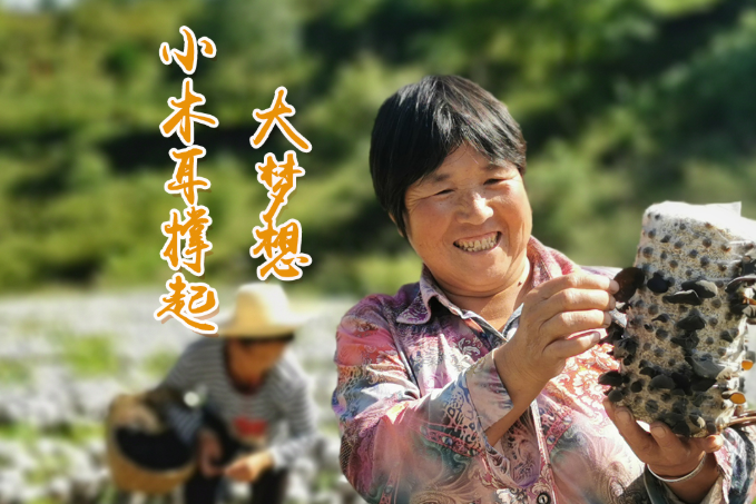 海報(bào)丨他們，乘“豐”破浪！