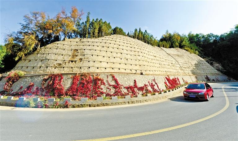 近90度陡坡上種樹！蘭州南北兩山綠化出新招