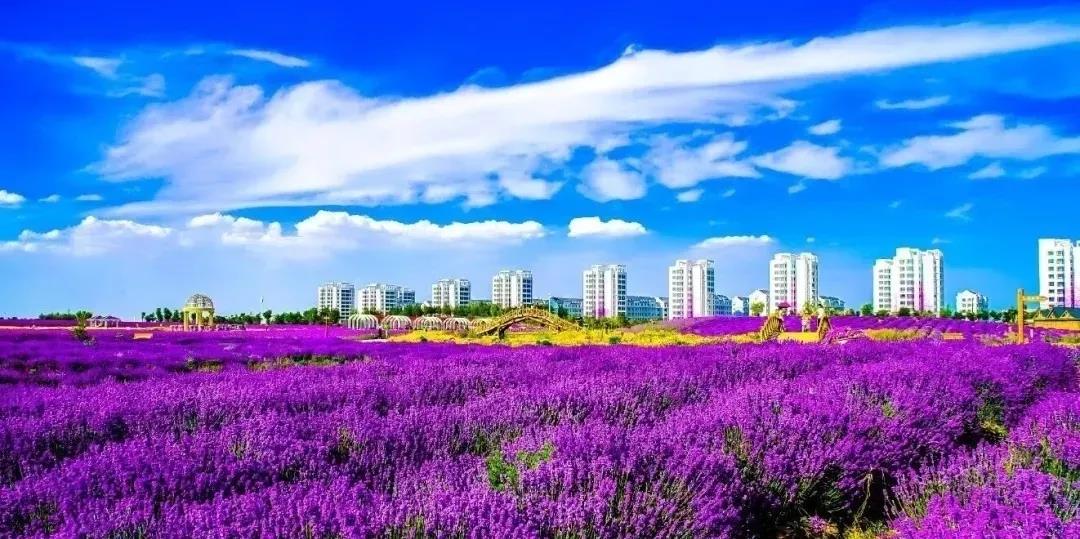 喜訊！金昌蟬聯(lián)全國文明城市