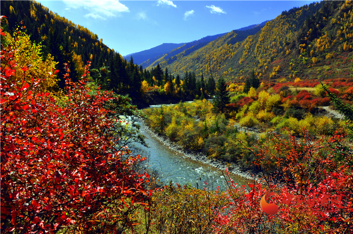 【擔(dān)使命 聚同心 促巨變 省直部門落實脫貧攻堅責(zé)任工作紀(jì)實】綠水青山戰(zhàn)貧困 甘肅省生態(tài)扶貧帶動百姓增收