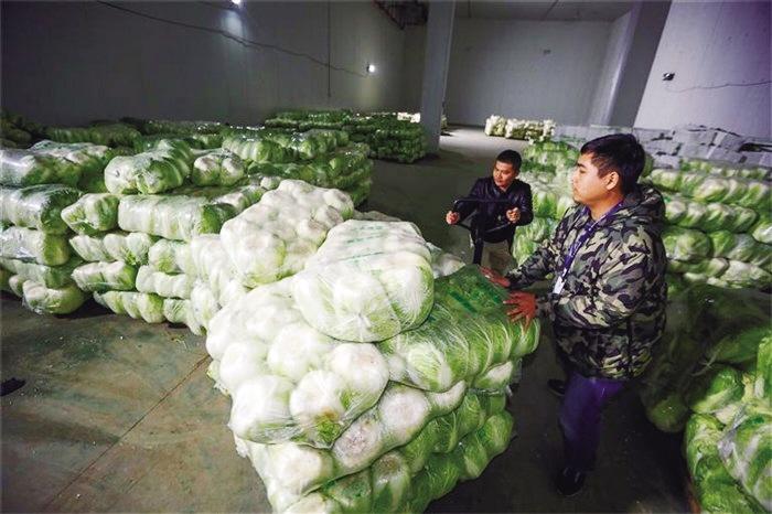 蘭州市已儲(chǔ)備1萬噸冬春蔬菜以耐貯存、易周轉(zhuǎn)品種為主