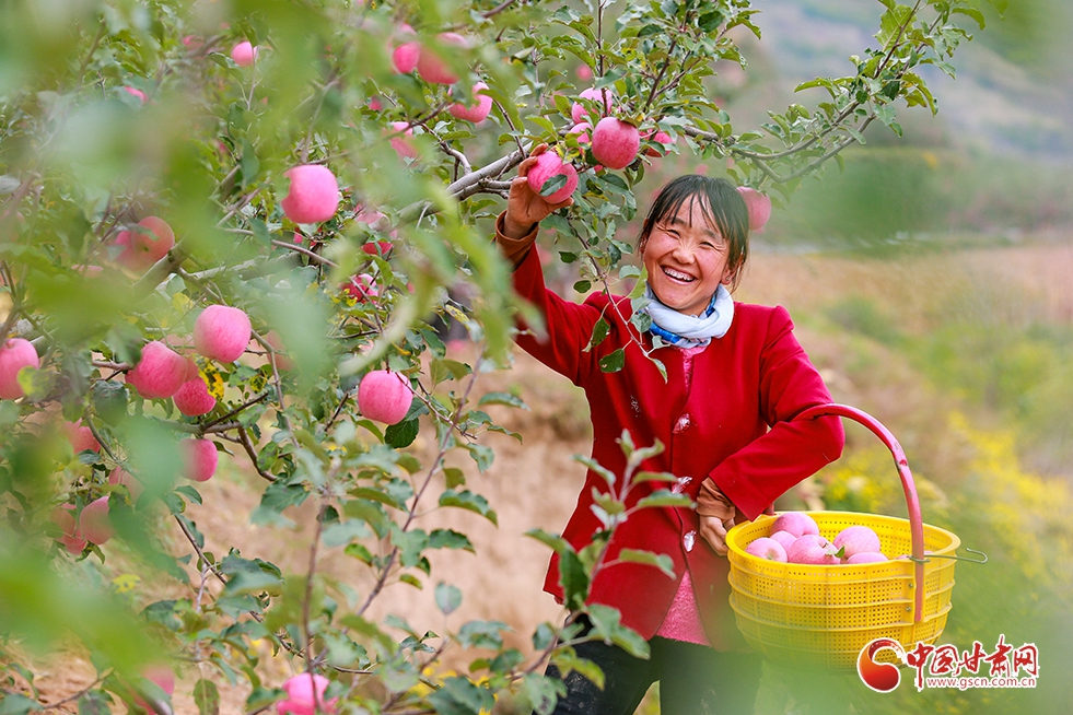 【中國的脫貧智慧】平涼：筑牢“返貧防線” 機制創(chuàng)新是關鍵（圖）