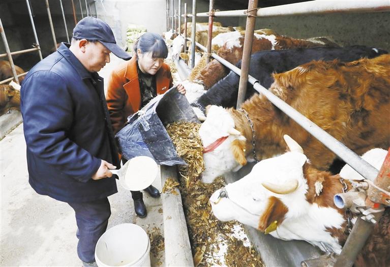 我和我的家鄉(xiāng)丨定西臨洮縣黨家墩村：“?！碑a(chǎn)業(yè)帶來(lái)“?！比兆?>
        </a><em>我和我的家鄉(xiāng)丨定西臨洮縣黨家墩村：“?！碑a(chǎn)業(yè)帶來(lái)“?！比兆?/em></li>
    <li><a  target=