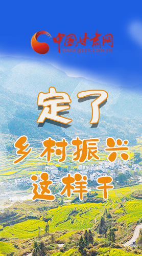 圖解|定了！全面推進(jìn)鄉(xiāng)村振興這樣干！