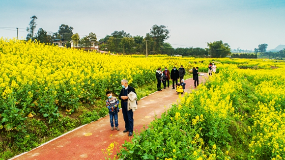 游客在花海里踏青。廖濤 攝