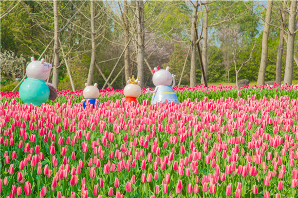 長壽湖郁金香次第開放。羅云希 攝