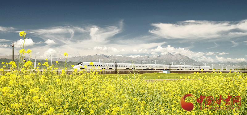 坐上火車“邂逅”春天，你可以這樣享“鐵路游”