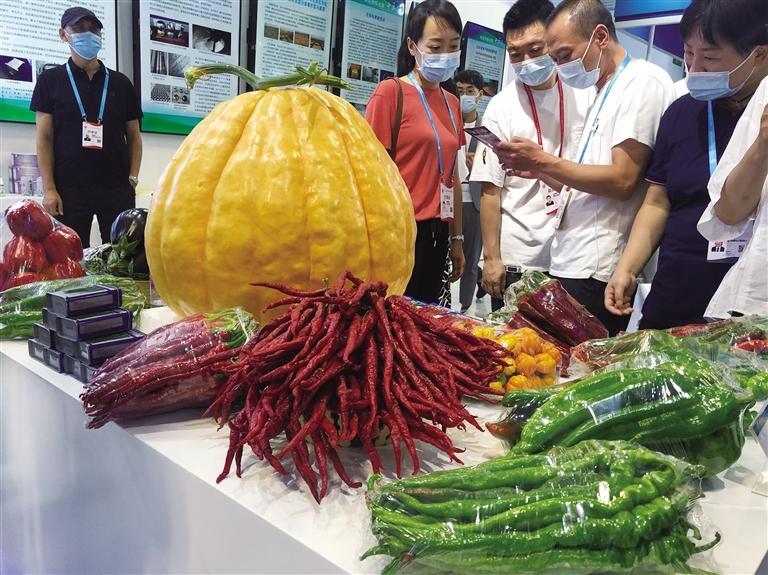 第二十七屆蘭洽會實(shí)現(xiàn)“線上+線下”全面展示 “地道甘味”散發(fā)獨(dú)特魅力