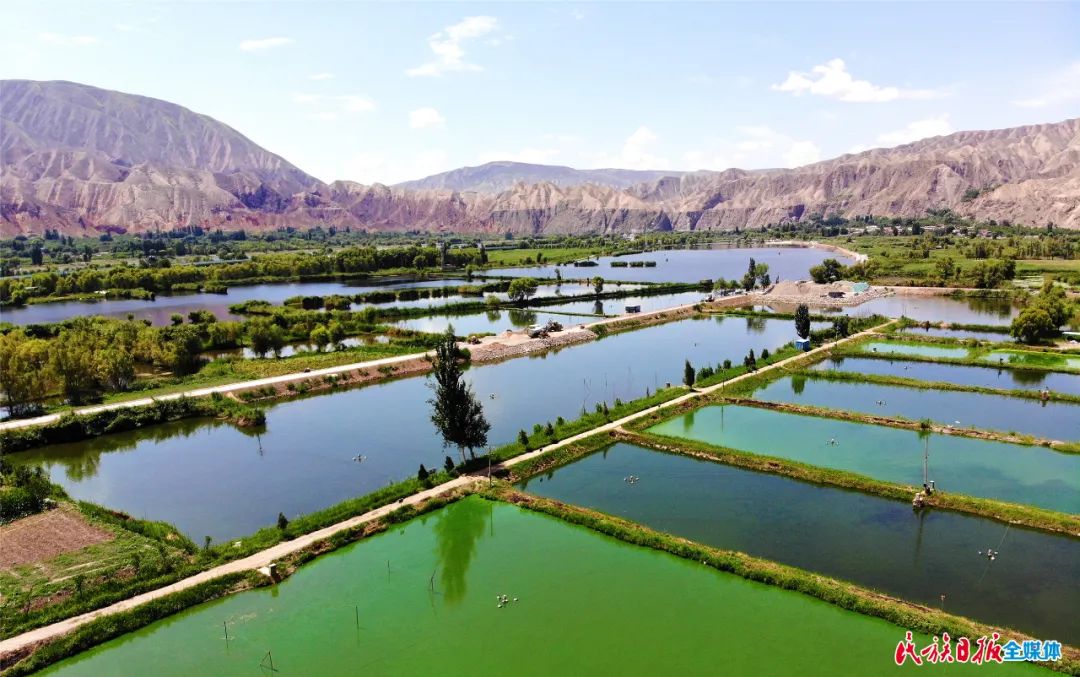 一秒入畫！太極島濕地風(fēng)光秀麗