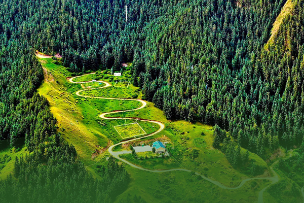 海報|祁連山保護(hù)區(qū)生態(tài)環(huán)境問題整改全面完成！