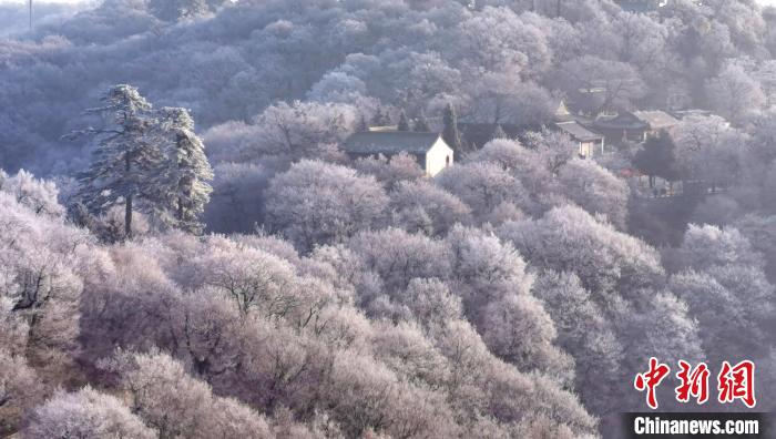 圖為霧凇美景?！⌒煺袢A 攝