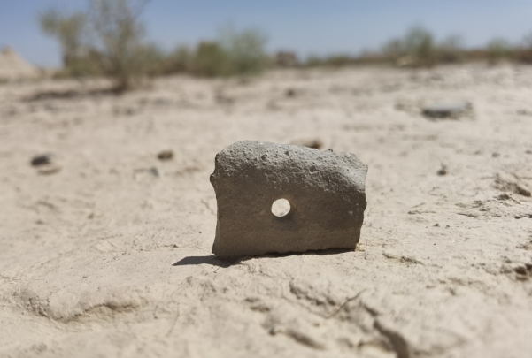 插圖1：河西走廊上遺存的古陶片。攝影：陳曉斌。拍攝日期：2020年6月。