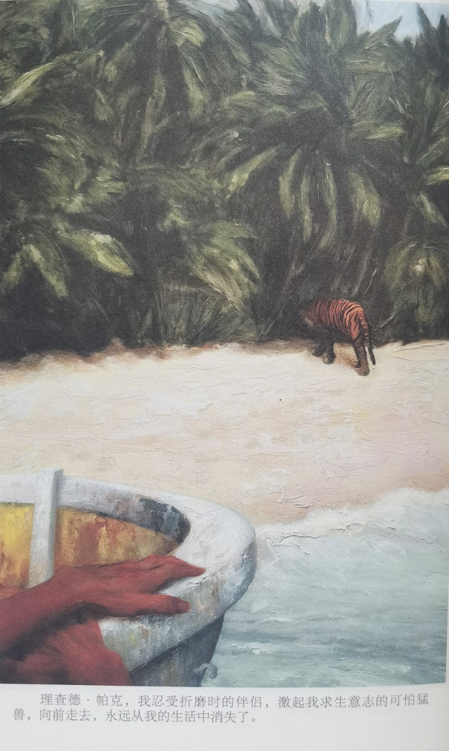 插圖3：揚？馬特爾的小說《少年pi的奇幻漂流》插圖