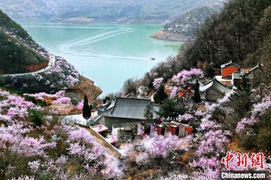 甘肅平?jīng)鍪惺侵袊鴥?yōu)秀旅游城市。圖為平?jīng)鲠轻忌较率锾一ㄊ㈤_。(資料圖) 平?jīng)鍪形麄鞑抗﹫D