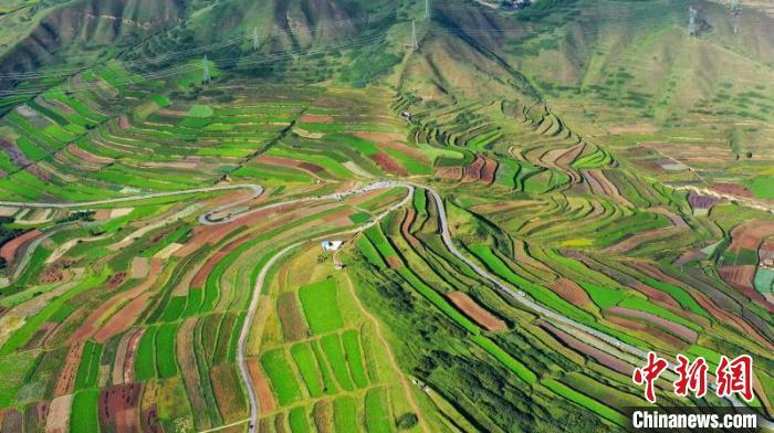 秋日里，榆中縣馬坡鄉(xiāng)千畝梯田，不同農(nóng)作物漸趨成熟，呈現(xiàn)出多種色彩，宛若大地的“調(diào)色盤”?！圆?攝