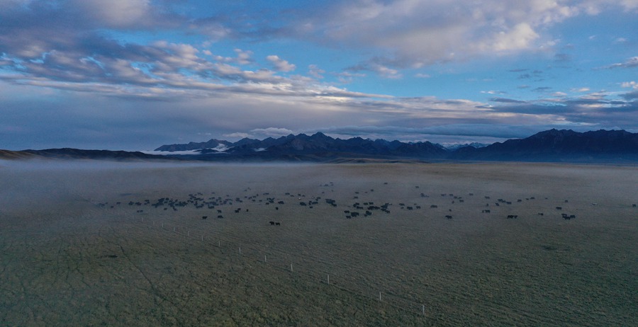 甘肅山丹馬場：峽谷云霧似仙境。 王超攝