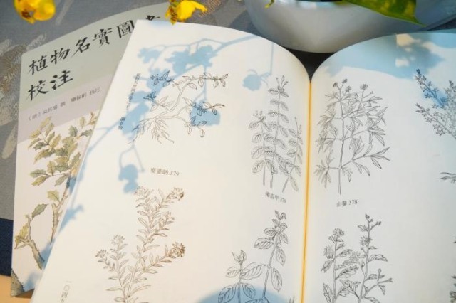 《植物名實(shí)圖考校注》內(nèi)頁。圖片來源：中華書局供圖