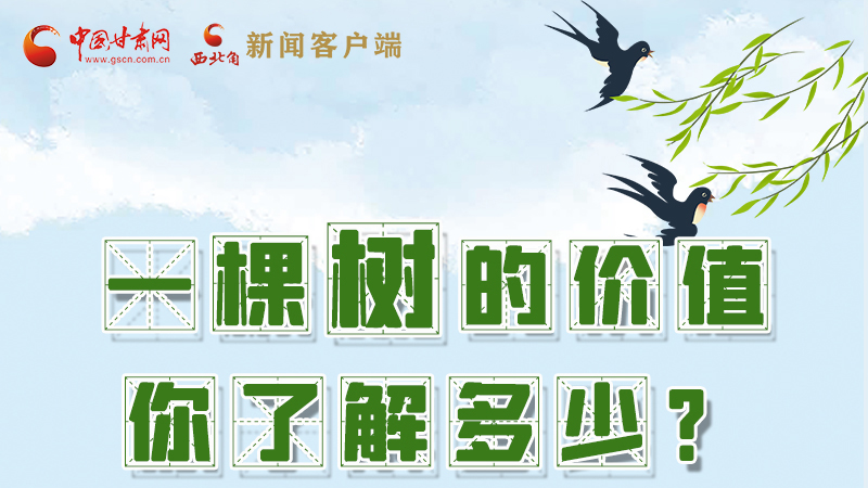 圖解|一棵樹的價值你了解多少?來看！