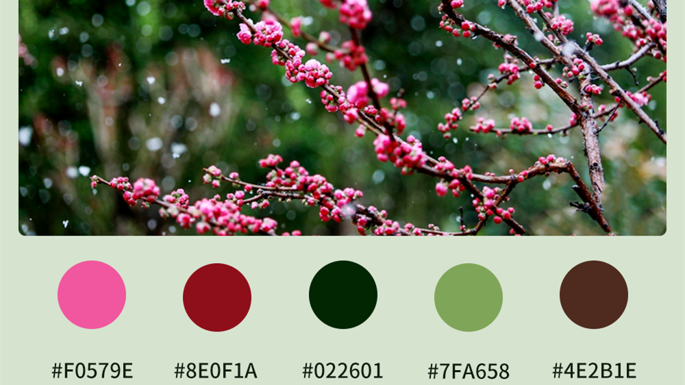 微海報|收藏！色卡里的春日甘肅