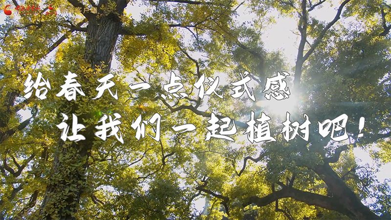 短視頻|給春天一點儀式感，讓我們一起植樹吧！