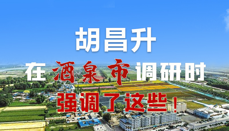 圖解|胡昌升在酒泉市調研時強調了這些！