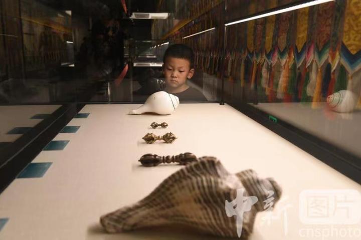圖為展出的“白海螺法器”吸引小觀眾。 中新社記者 戴文昌 攝