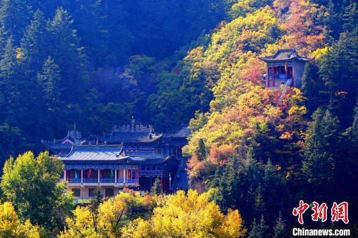 深秋，位于蘭州市榆中縣的興隆山景色如畫。宮衛(wèi)紅 攝