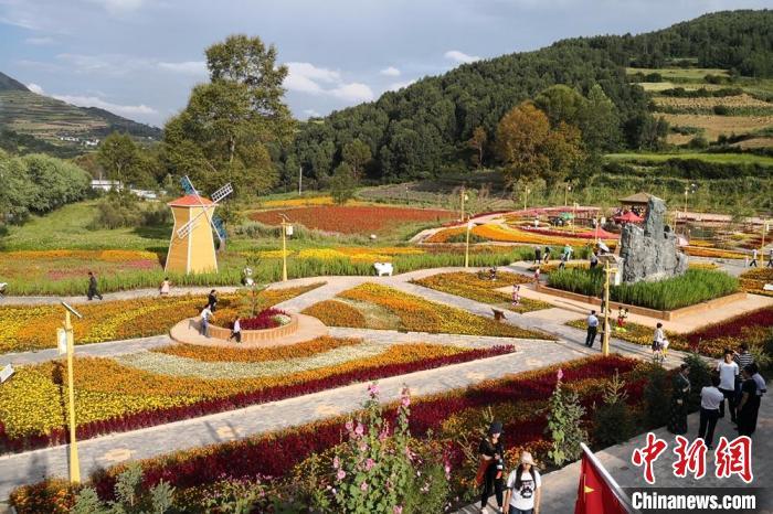 圖為航拍甘肅甘南臨潭縣八角鎮(zhèn)，花海吸引游人。(資料圖)高展 攝