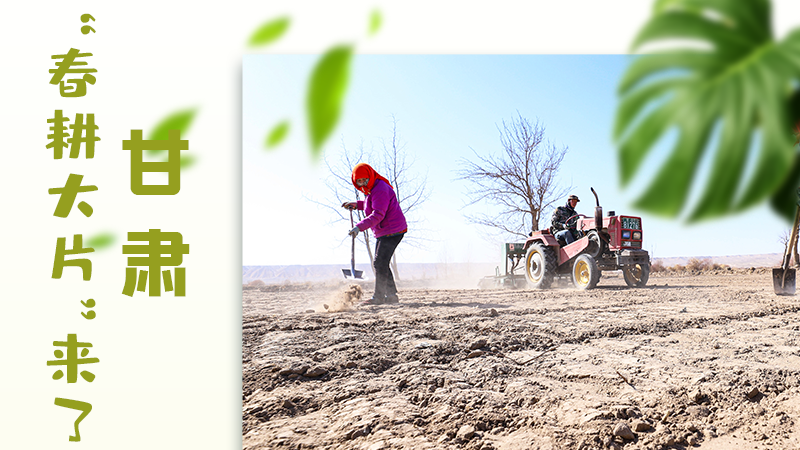 【甘快看】海報(bào)|瞧!甘肅“春耕大片”來了
