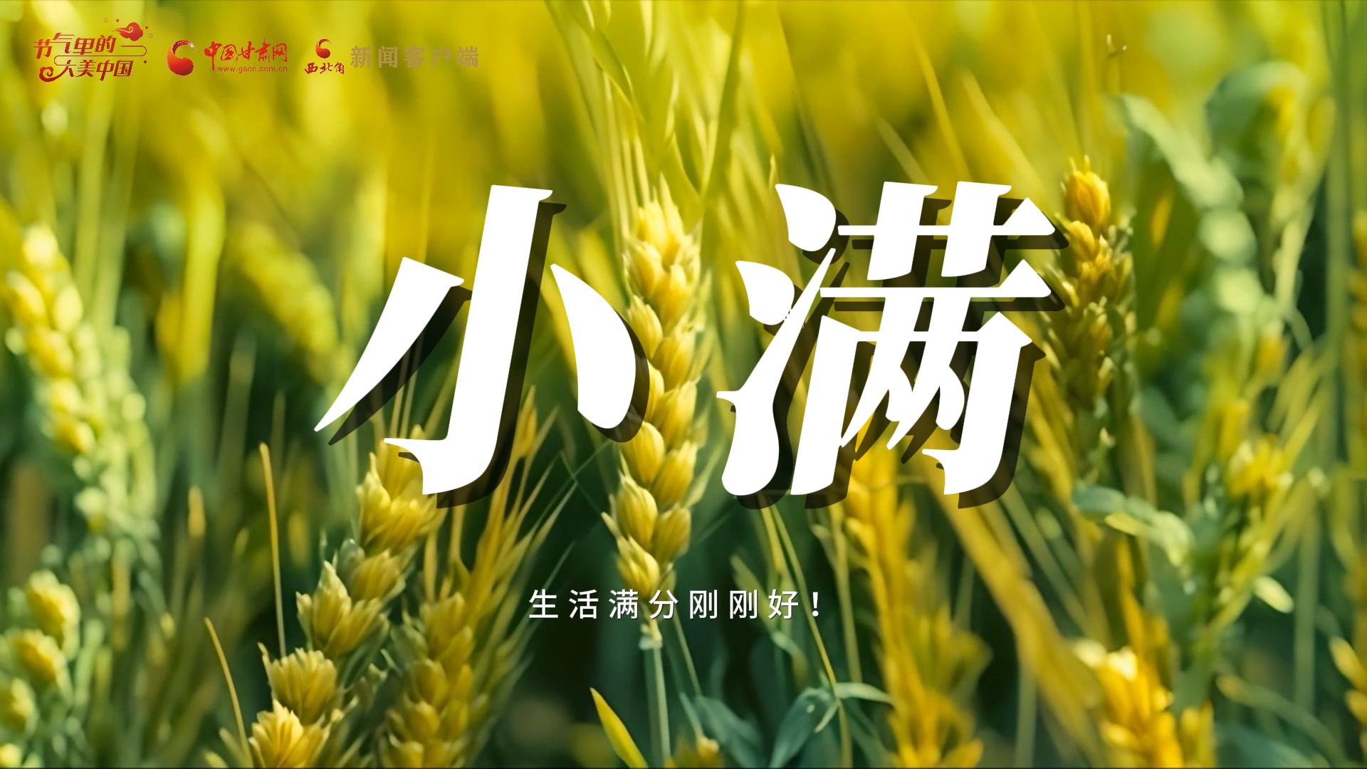 【節(jié)氣里的大美甘肅·小滿】生活滿分剛剛好！