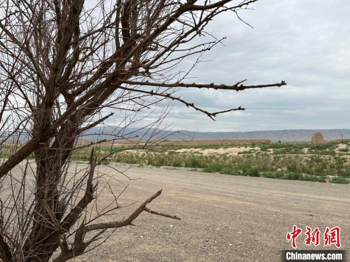 圖為位于長城墻體上的“馬面”或“敵臺(tái)”?！〈魑牟?攝